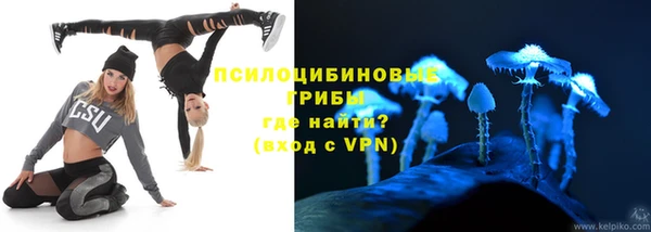 прущие крисы Алексеевка