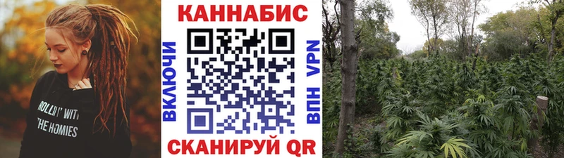 Каннабис сатива  купить закладку  Харовск 